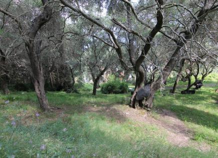 Land for 350 000 euro in Corfu, Greece