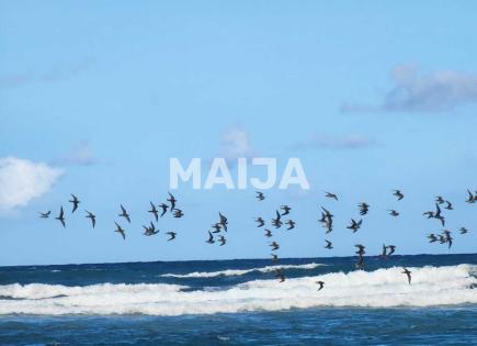 Land for 770 830 euro in Punta Cana, Dominican Republic