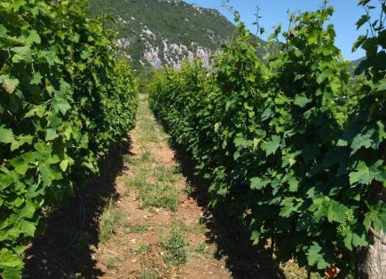 Terreno para 154 500 euro en Danilovgrad, Montenegro