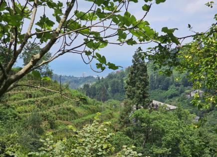 Terrain pour 94 249 Euro à Batoumi, Géorgie