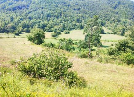 Land for 40 000 euro in Savnik, Montenegro