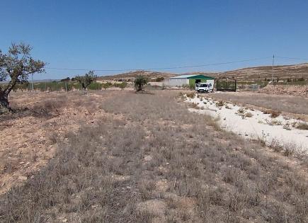 Land for 39 000 euro in Jumilla, Spain