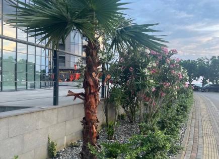 Piso para 68 334 euro en Batumi, Georgia