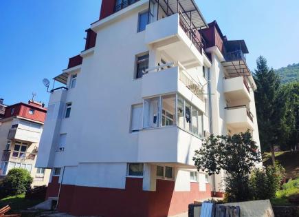 Flat for 47 000 euro in Pluzine, Montenegro