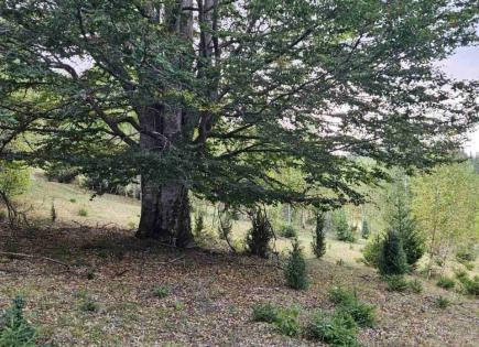 Land for 160 000 euro in Bijelo Pole, Montenegro