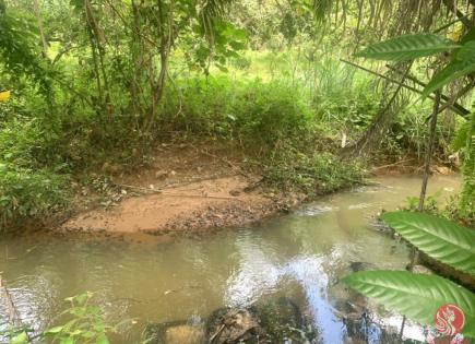 Land for 44 250 euro in Phang Nga, Thailand