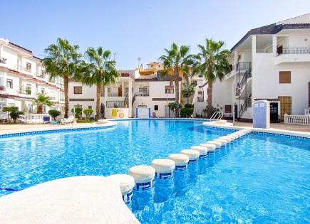 Apartment for 110 euro per week in Punta Prima, Spain