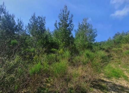 Land for 155 000 euro in Sutomore, Montenegro