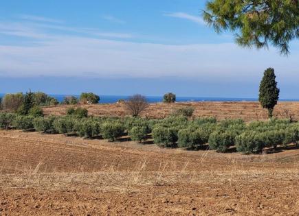 Terrain pour 250 000 Euro en Chalcidique, Grèce