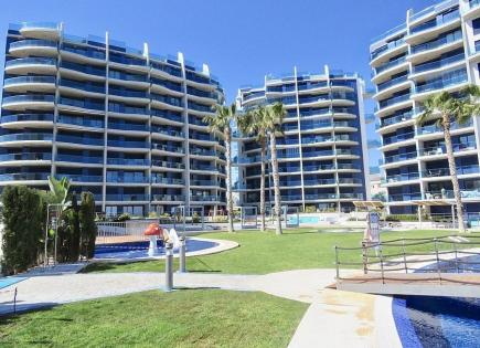 Appartement pour 480 000 Euro à Punta Prima, Espagne