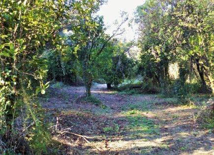 Terrain pour 150 000 Euro à Corfou, Grèce