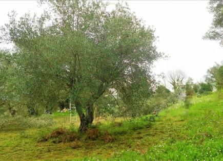 Terrain pour 198 000 Euro à Corfou, Grèce