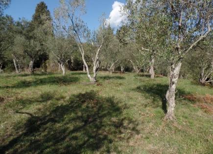 Terrain pour 165 000 Euro à Corfou, Grèce