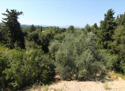 Land for 160 000 euro in Corfu, Greece