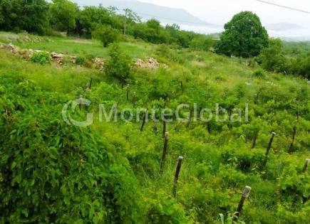 Land for 50 000 euro in Danilovgrad, Montenegro