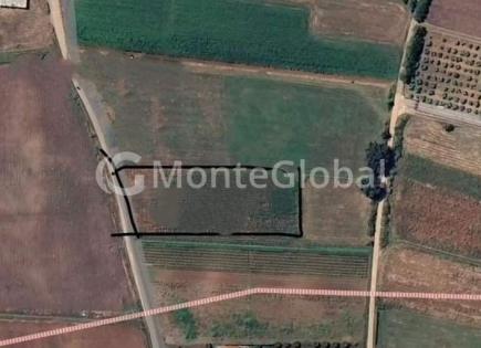 Land for 120 500 euro in Montenegro