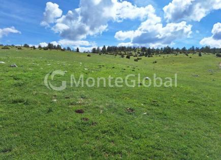 Land for 1 260 000 euro in Zabljak, Montenegro