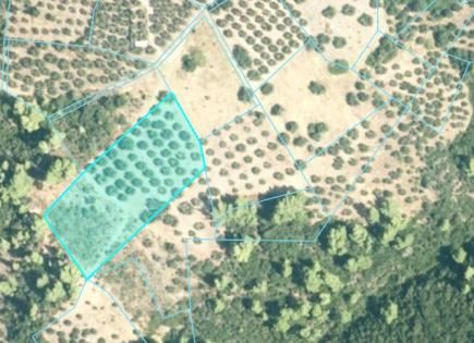 Land for 400 000 euro in Chalkidiki, Greece