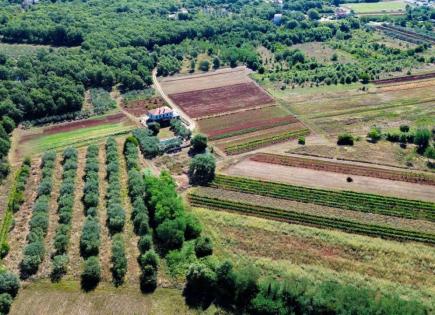 Villa à Umag, Croatie (prix sur demande)