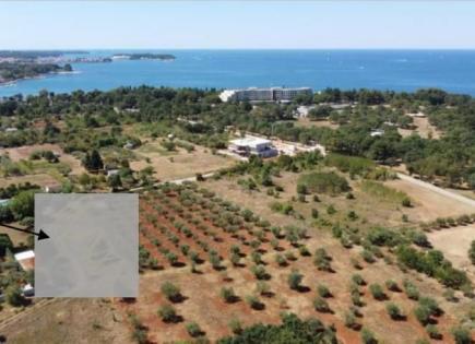 Villa for 2 000 000 euro in Porec, Croatia
