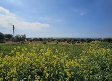 Terrain pour 250 000 Euro à Tala, Chypre