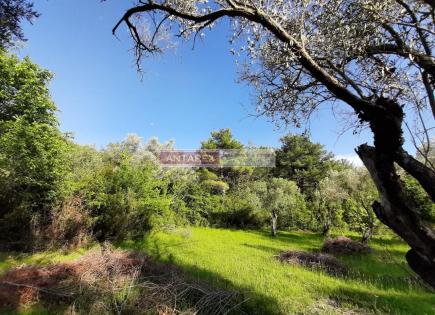 Land for 199 000 euro in Kavac, Montenegro