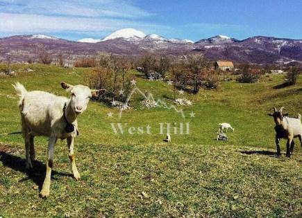 Terrain pour 450 000 Euro à Nikšić, Monténégro