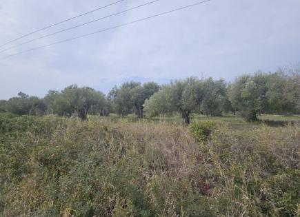 Land for 250 000 euro in Chalkidiki, Greece