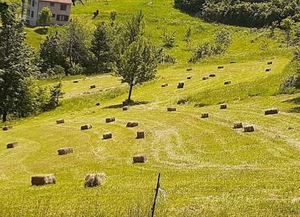 Grundstück für 320 000 euro in Mojkovac, Montenegro