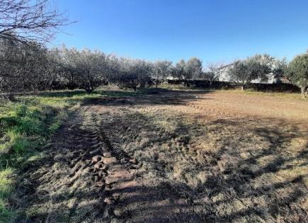 Terrain pour 480 000 Euro à Koper, Slovénie