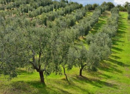 Terrain pour 350 000 Euro en Chalcidique, Grèce