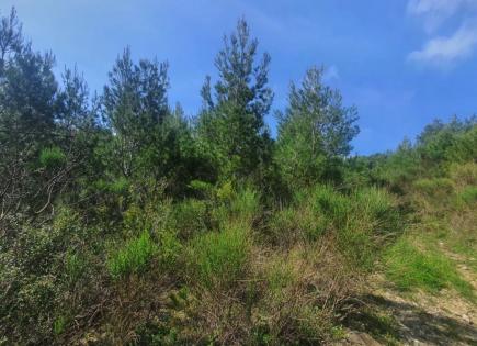 Terreno para 145 000 euro en Sutomore, Montenegro