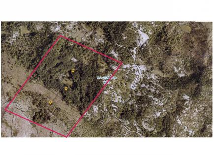 Terrain pour 558 000 Euro à Grahovo, Monténégro