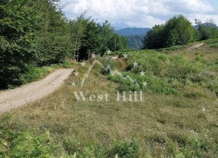 Terreno para 105 000 euro en Kolasin, Montenegro