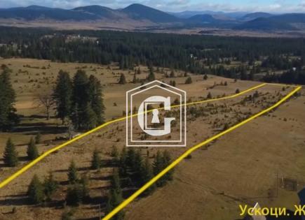 Terreno para 500 000 euro en Zabljak, Montenegro