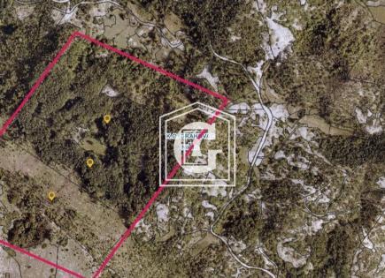 Terrain pour 1 990 000 Euro à Grahovo, Monténégro