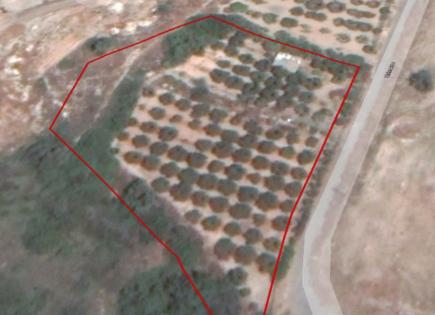 Terrain pour 590 000 Euro à Limassol, Chypre