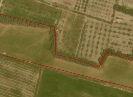 Land for 248 000 euro in Paphos, Cyprus