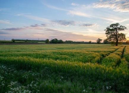 Terreno para 5 200 000 euro en Lárnaca, Chipre