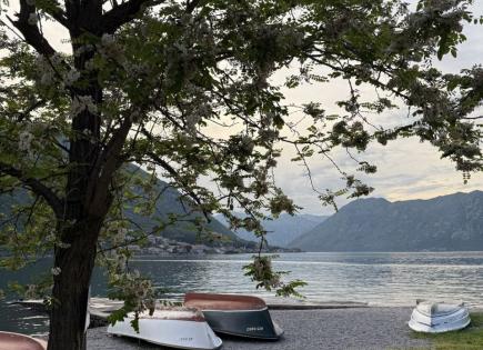 Appartement pour 89 600 Euro à Kotor, Monténégro
