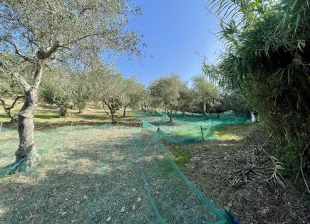 Grundstück für 18 000 euro in Scalea, Italien