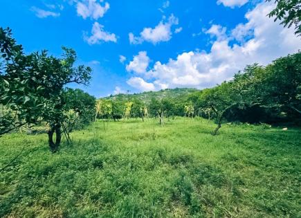 Terrain pour 61 660 Euro à Batoumi, Géorgie