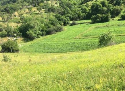 Maison pour 538 125 Euro à Danilovgrad, Monténégro