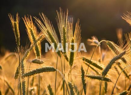 Land for 7 200 000 euro in Latvia