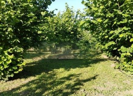 Haus für 48 000 euro in Belgrad, Serbien