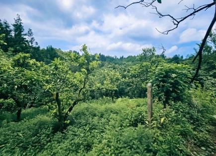Terrain pour 42 725 Euro à Batoumi, Géorgie
