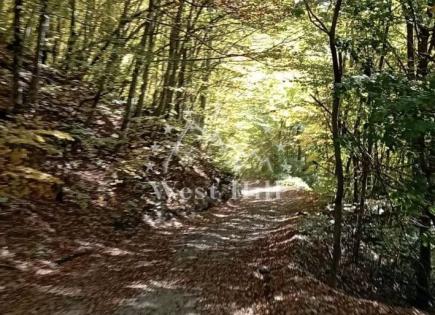 Terrain pour 1 100 000 Euro à Kolasin, Monténégro