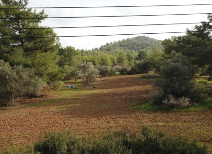 Land for 230 000 euro in Larnaca, Cyprus