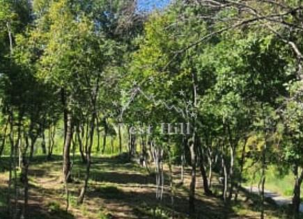 Maison pour 240 000 Euro au Monténégro