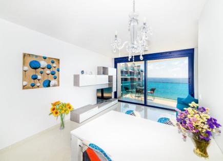 Appartement pour 1 650 Euro par mois à Punta Prima, Espagne